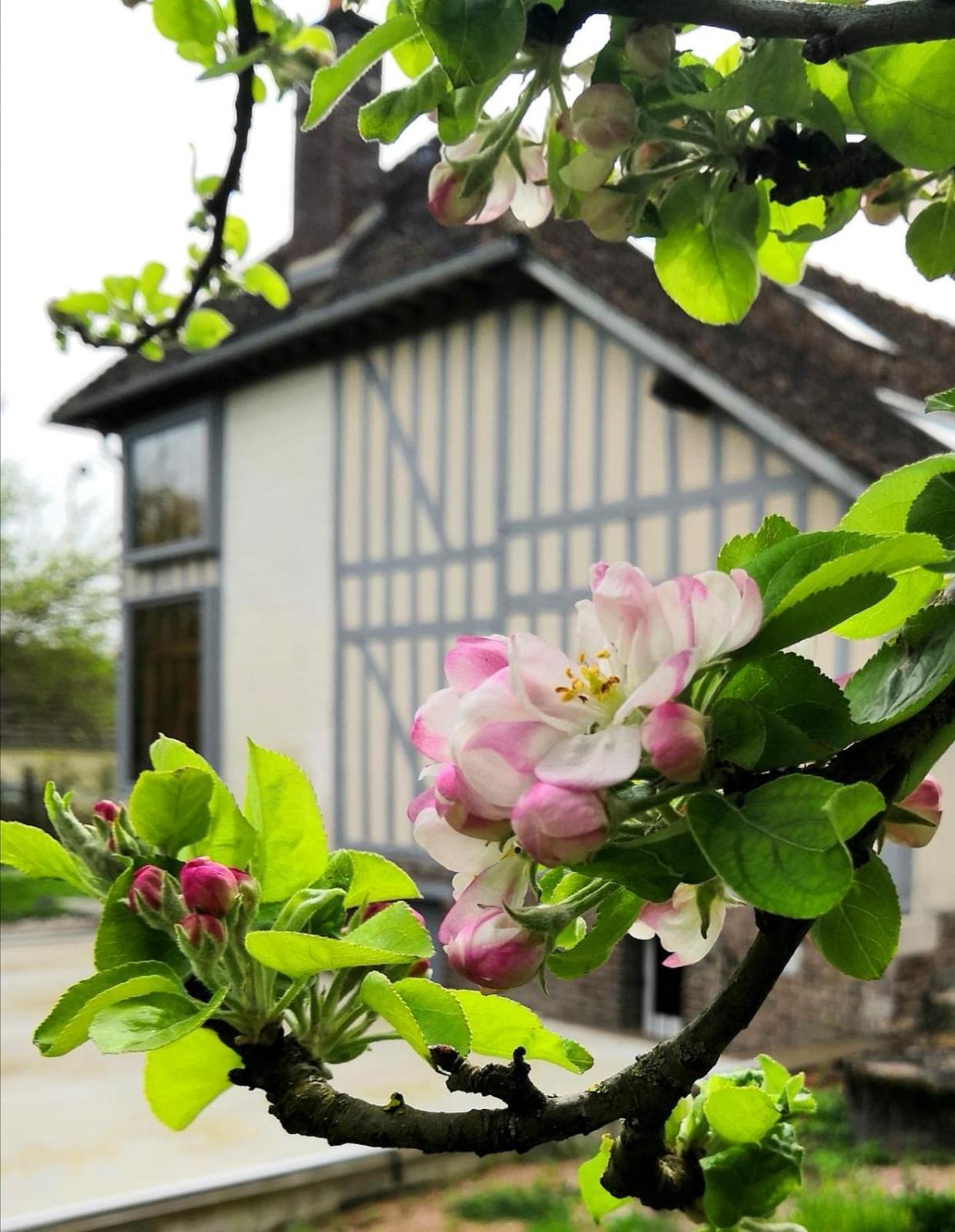 Sous Les Toits Bed & Breakfast Dosches Exterior photo